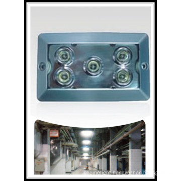 Waterproof LED Ceiling Light/Emergency Light